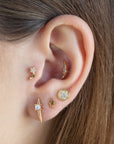 Bestselling Cartilage Barbell Earring Gift Box