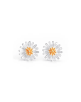 Twilight London Stud Earrings Silver Daisy Stud Earrings