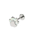 Twilight London Labret Piercing Titanium Opal Paw Labret Piercing