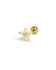 Twilight London Barbell Stud Gold Rose Barbell Piercing