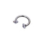 Crystal Horseshoe Barbell