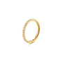 Twilight London Cartilage Hoop Gold / 6mm Eternity Clicker Hoop